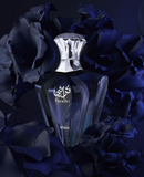 Perfume Afnan Turathi Blue Edp 90ML – Masculino